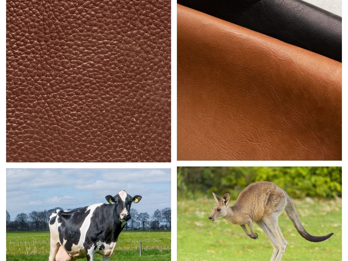 Kangaroo vs Cowhide Leather Suit: Which One is Best for You?