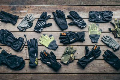 Best Motorcycle Gloves for Cold Weather Riding